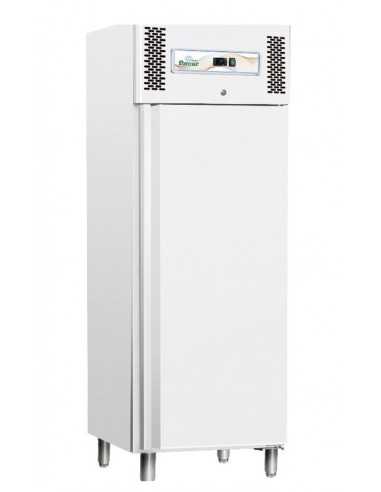 Freezer cabinet - Capacity lt 507 - cm 68 x 80 x 201 h