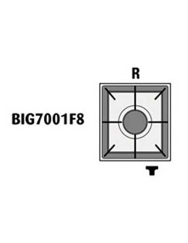 N. 1 Bruciatore Rapido - Potenza kW 4,5