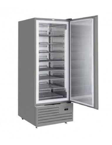 Congelador - Capacidad Lt 600 - cm 74 x 88 x 202.5 h