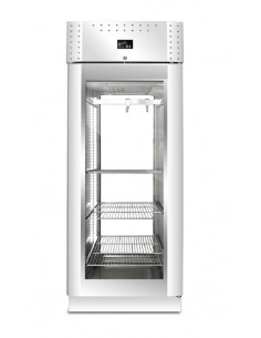 Frigo vetrina vetri sui 4 lati per frollatura carne 500 lt