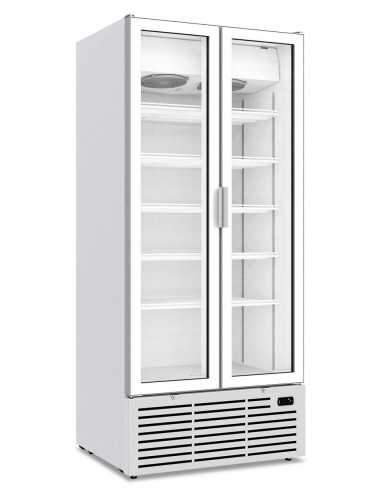 Frigorífico armario - Capacidad 725 lt - cm 88 x 71.5 x 200.9 h