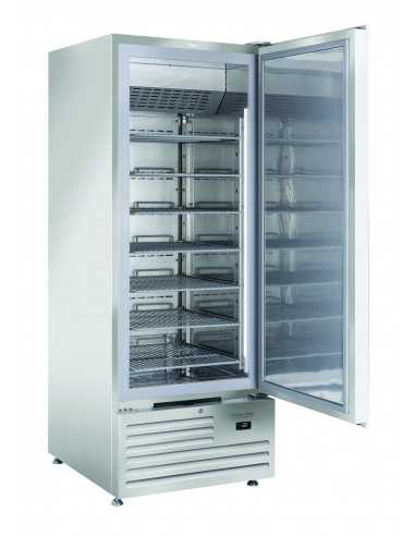 Freezer - Capacity Lt 600 - cm 74 x 88 x 202.5 h