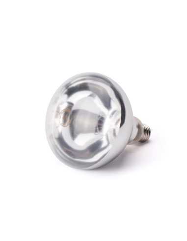 Bulbo ad infrarossi - Luce bianca brillante - Potenza 250 W - mm Ø 125 x 170