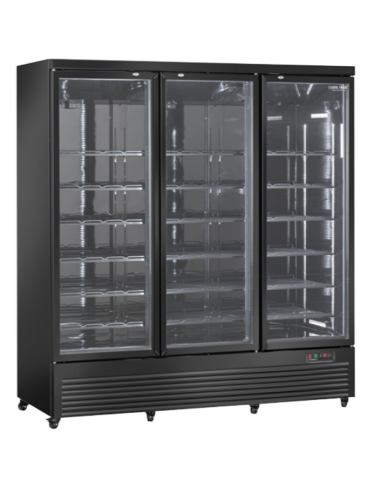 Refrigerator cabinet - Capacity lt 1664 -  cm 188 x 74 x 204 h