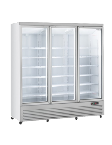 Refrigerator cabinet - Capacity lt 1664 -  cm 188 x 74 x 204 h