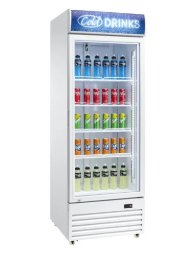 Refrigerator cabinet - Capacity 450 lt - cm 70 x 74.5 x 199 h