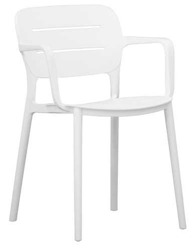 Chair - Polypropylene structure - cm 43 x 42 x 80 h