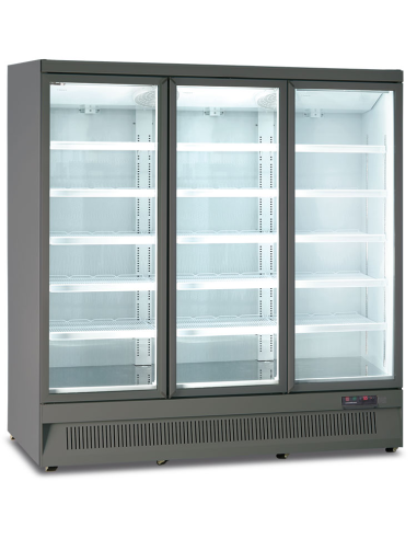 Freezer cabinet - Capacity 1200 Lt- cm 188 x 76 x 199.7 h