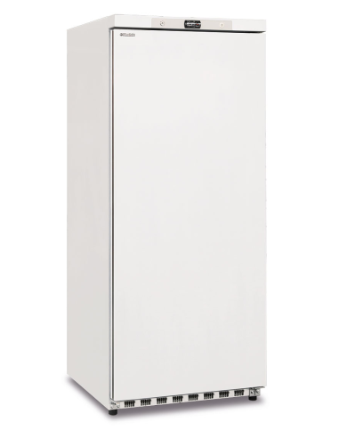 Freezer cabinet static - Capacity 600 lt