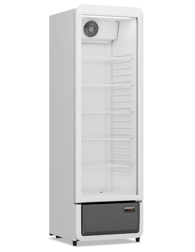 Refrigerator cabinet - Capacity liters 258 - cm 54 x 57 x 172.5 h