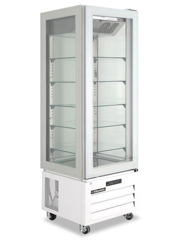 Refrigerated display case - Capacity 319 Lt 65 x 65x 195 h