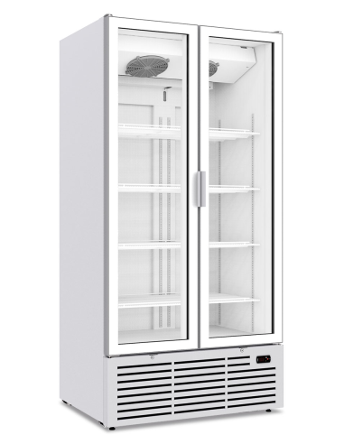 Frigorífico armario - Capacidad 818 lt - cm 107 x 73.8 x 210.6 h