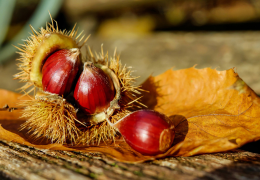 Castagne: ricette e benefici per il cervello, le ossa, il cuore e altro ancora